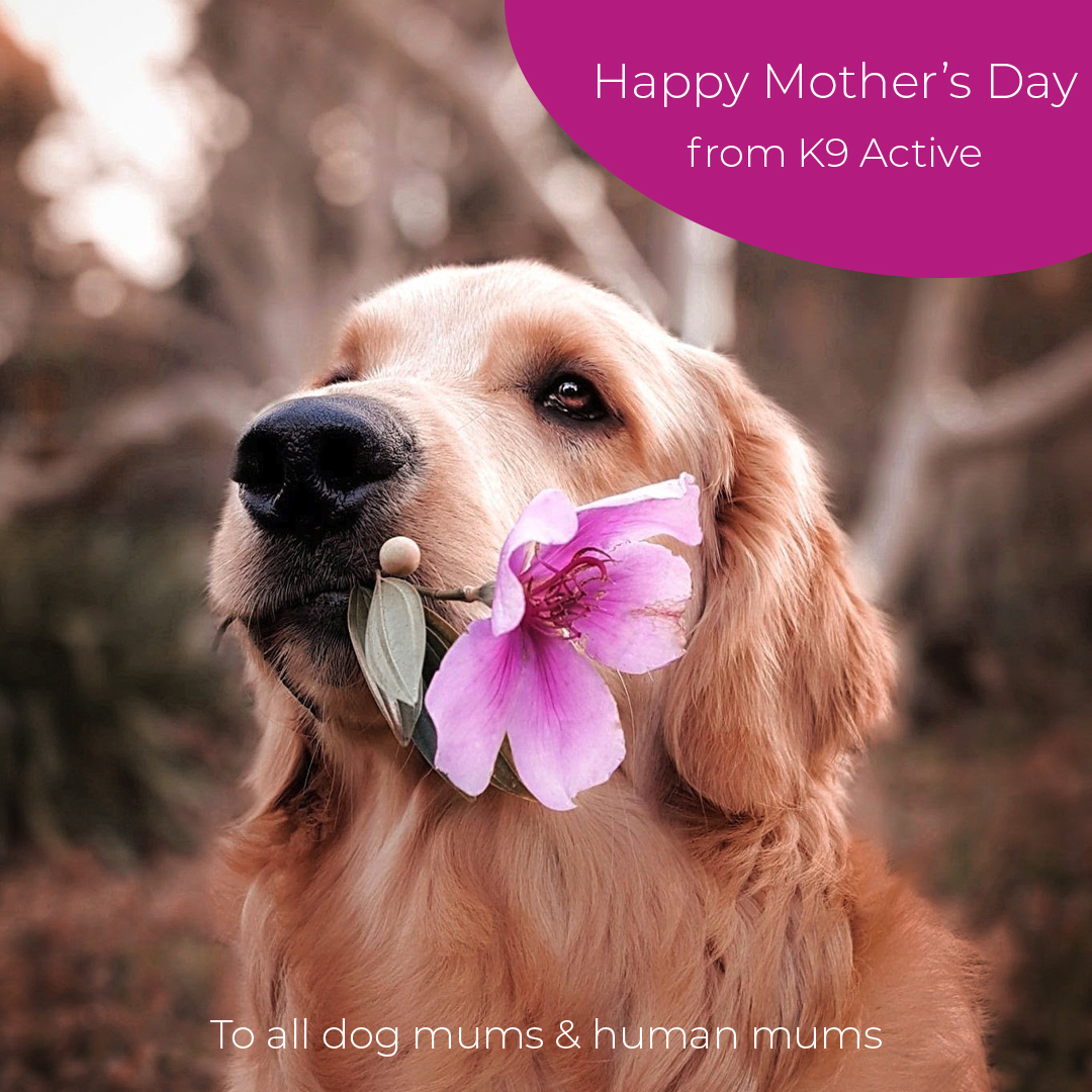 Zena Conkey tweet media