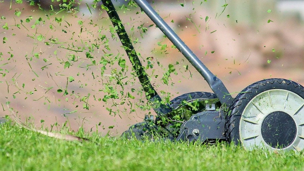 Wightbay tweet media