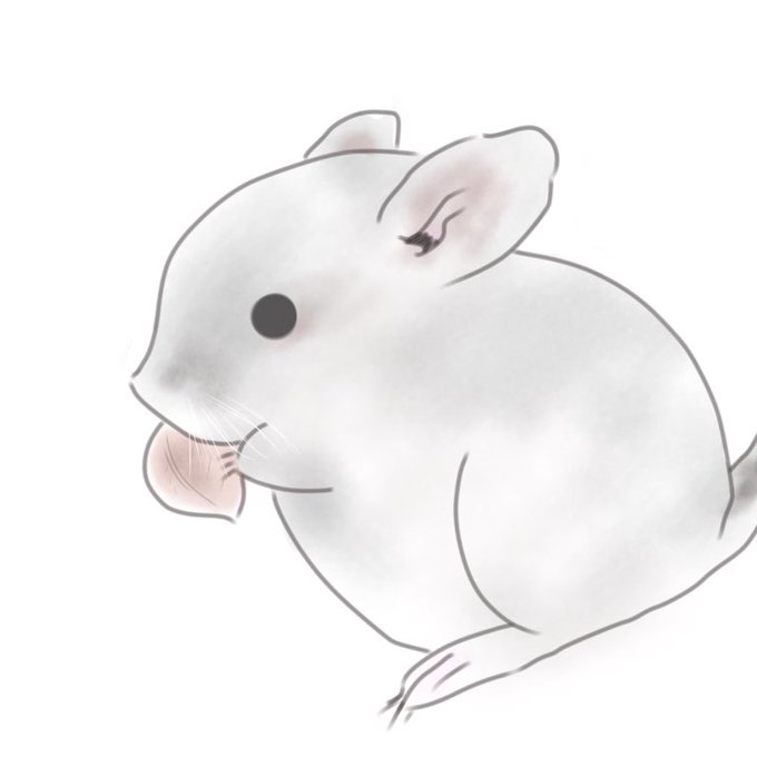 チンチラのtwitterイラスト検索結果