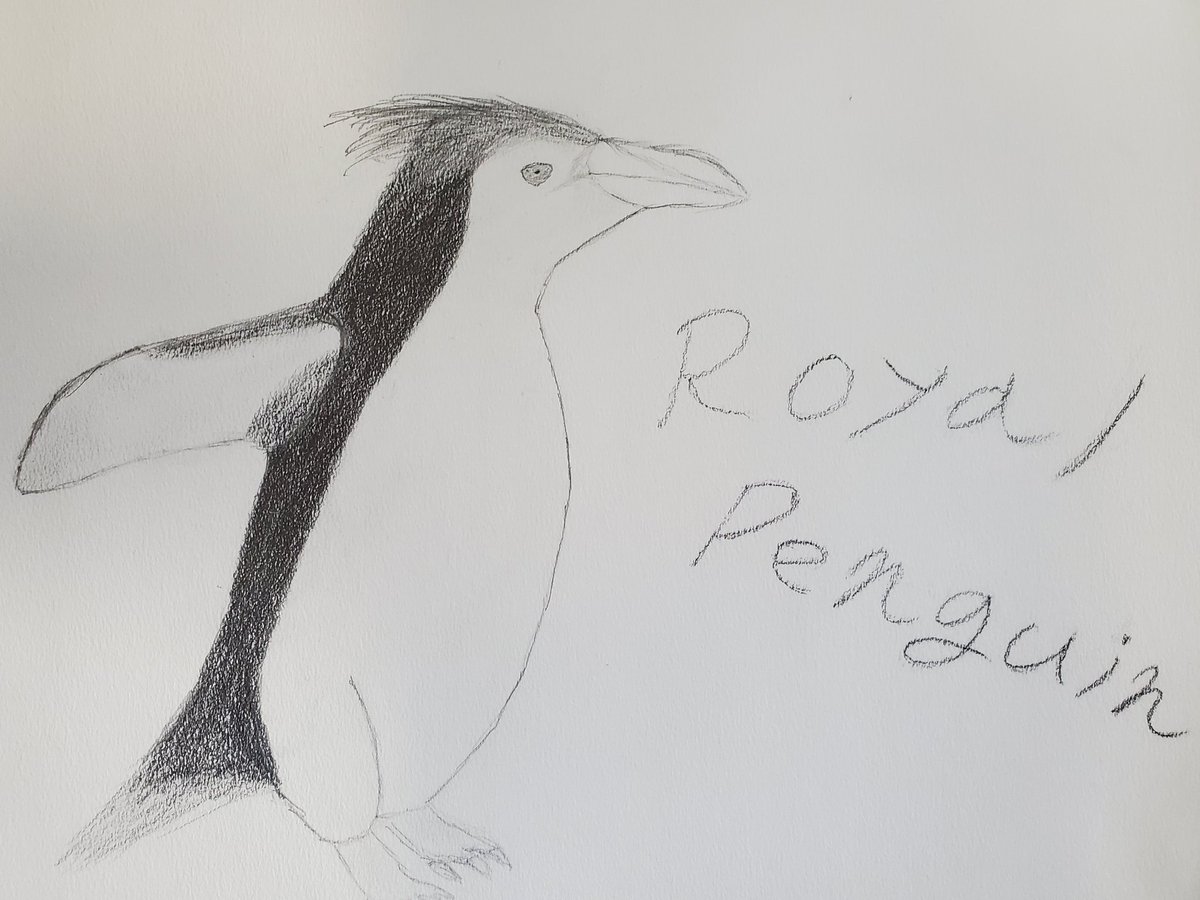 Twoucan ロイヤルペンギン の注目ツイート イラスト マンガ コスプレ モデル