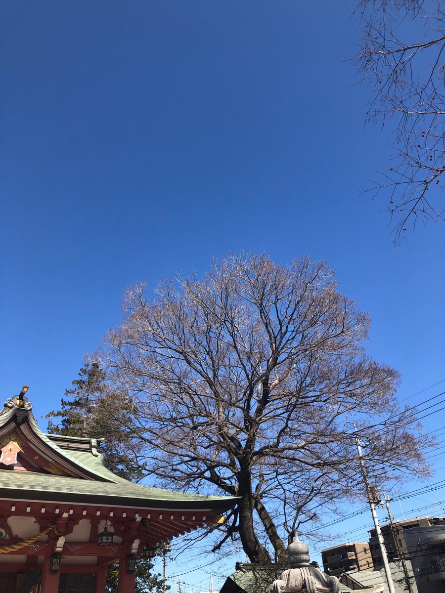 中華キッチンぐら