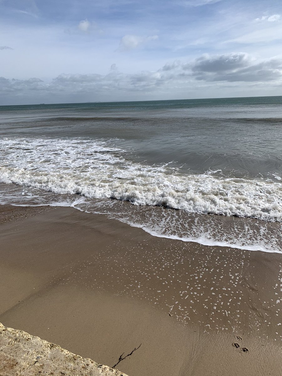 Kirstin16o3's tweet photo. @Dawlishchief @Charisma_Effect @rncfeb @semtexsue @1StevieKilner @ChubbyFlanwert @Debjacobs2508 Only a couple of snaps, but a great #piratesvirtualwalk before the beach closes to dogs at the end of the month https://t.co/58Ap8AAPvT