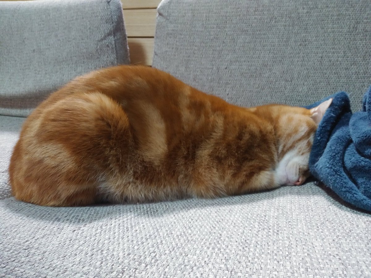 うつ伏せ