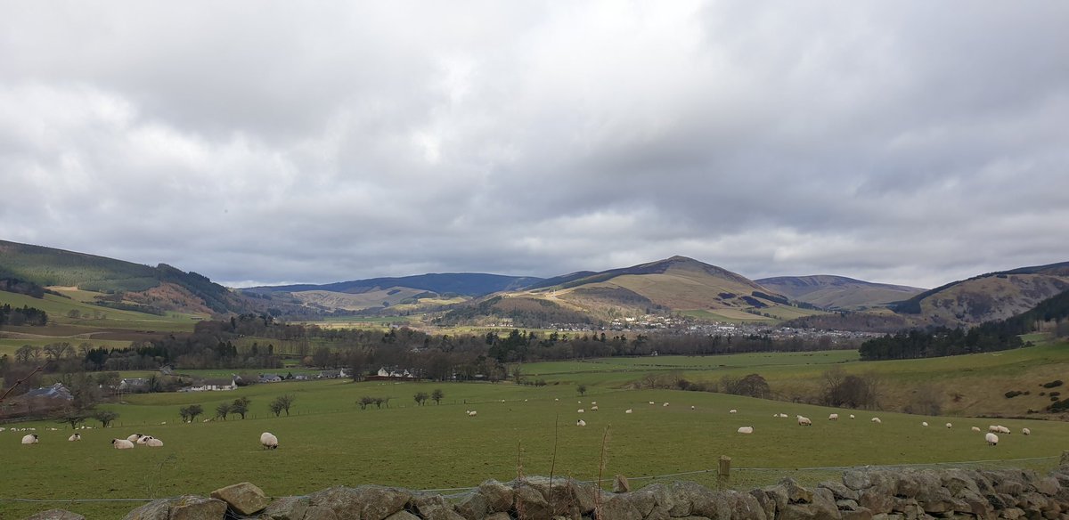 Amanda Bell tweet media