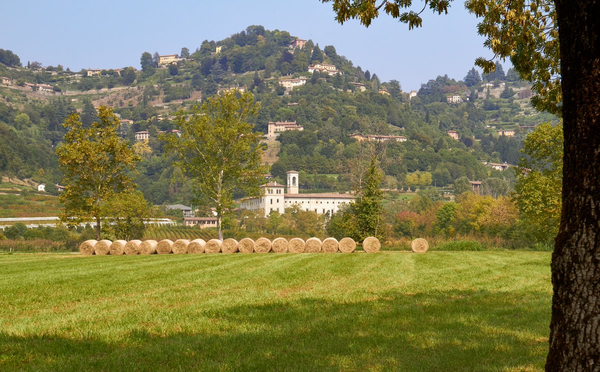 ItinDiViaggio's tweet photo. Chi viene a visitare #Bergamo difficilmente passa dalla val d' #Astino che noi abbiamo diligentemente inserito nel nostro itinerario della città 😁
https://t.co/k3XgRL3Ugz
Finalmente anche a questa parte di città alta viene riconosciuto il premio nazionale del #paesaggio 2021 https://t.co/zIBqlkCJYL