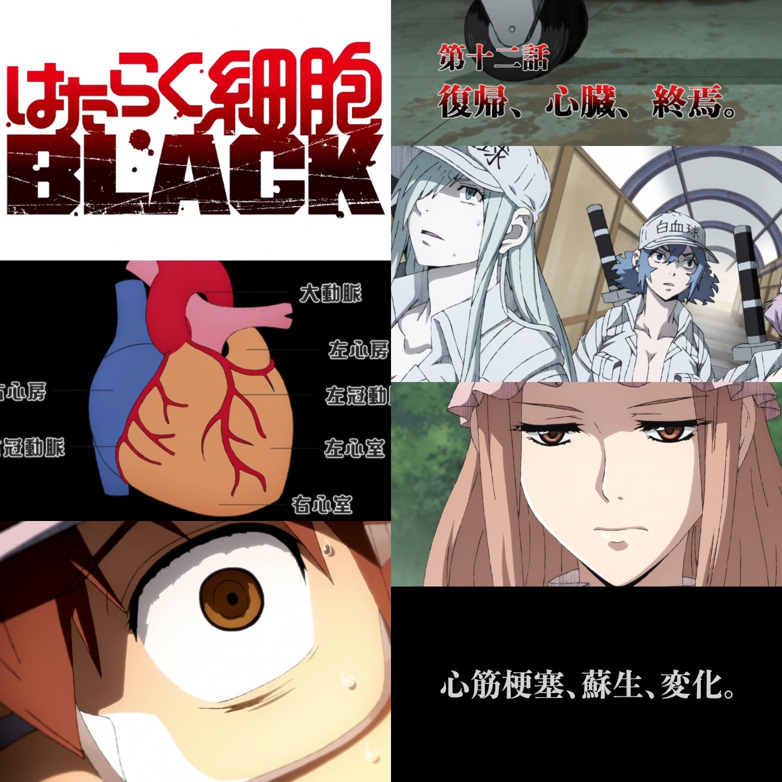 きぷんおみか 打つ手無し 本日は はたらく 細胞black 第12話 復帰 心臓 終焉 を視聴 きっと改善する機会は沢山あった 働く意味 生きる意味 色々と考えさせられる それでもやっぱり身体が資本 欲の思うまま 精神が好き勝手すればこうなってしまうのは