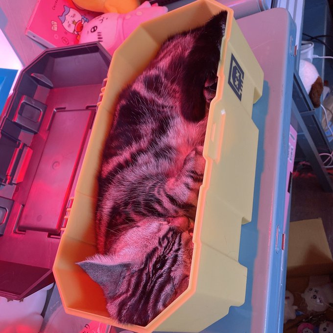 コスプレイヤー伊織もえのTwitter画像21