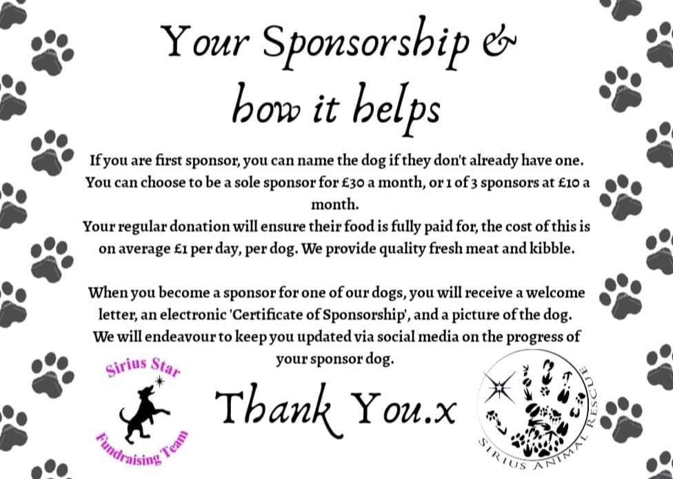 Sirius Animal Rescue tweet media