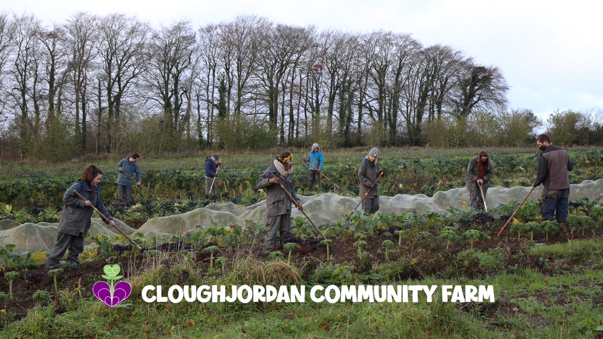 comresie's tweet photo. Tune in for a tour of @Cloughjo_Farm as part of this years virtual @stpatricksfest 
https://t.co/wim45nYOtp 

Monday 15th March at 11am https://t.co/ondxIU4iLy  

#communitysupportedagriculture 
#stpatricksfest 
#csa 
@CSANetwork
@ofnireland https://t.co/l8W33HLckK