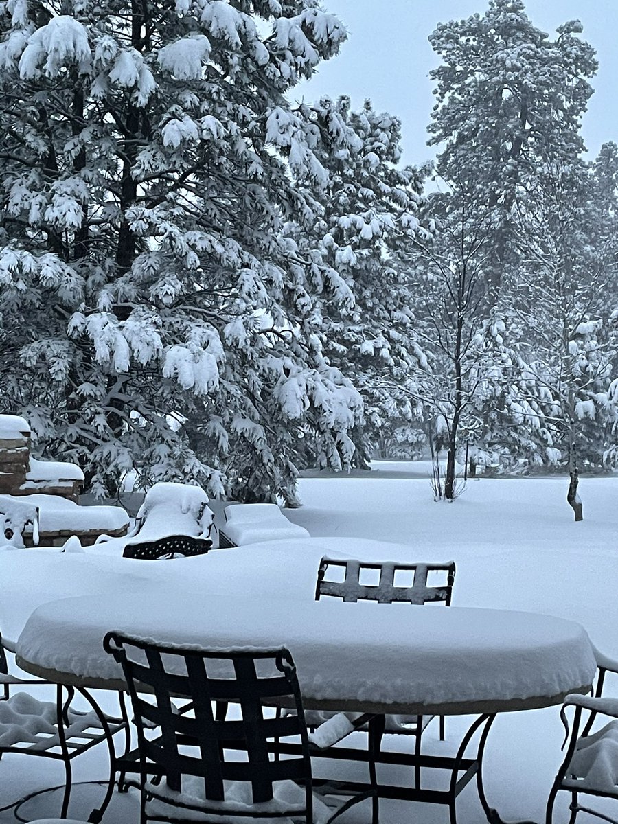 #Snowpocalypse2021 #Snowmageddon2021 finally reached 8” this morning