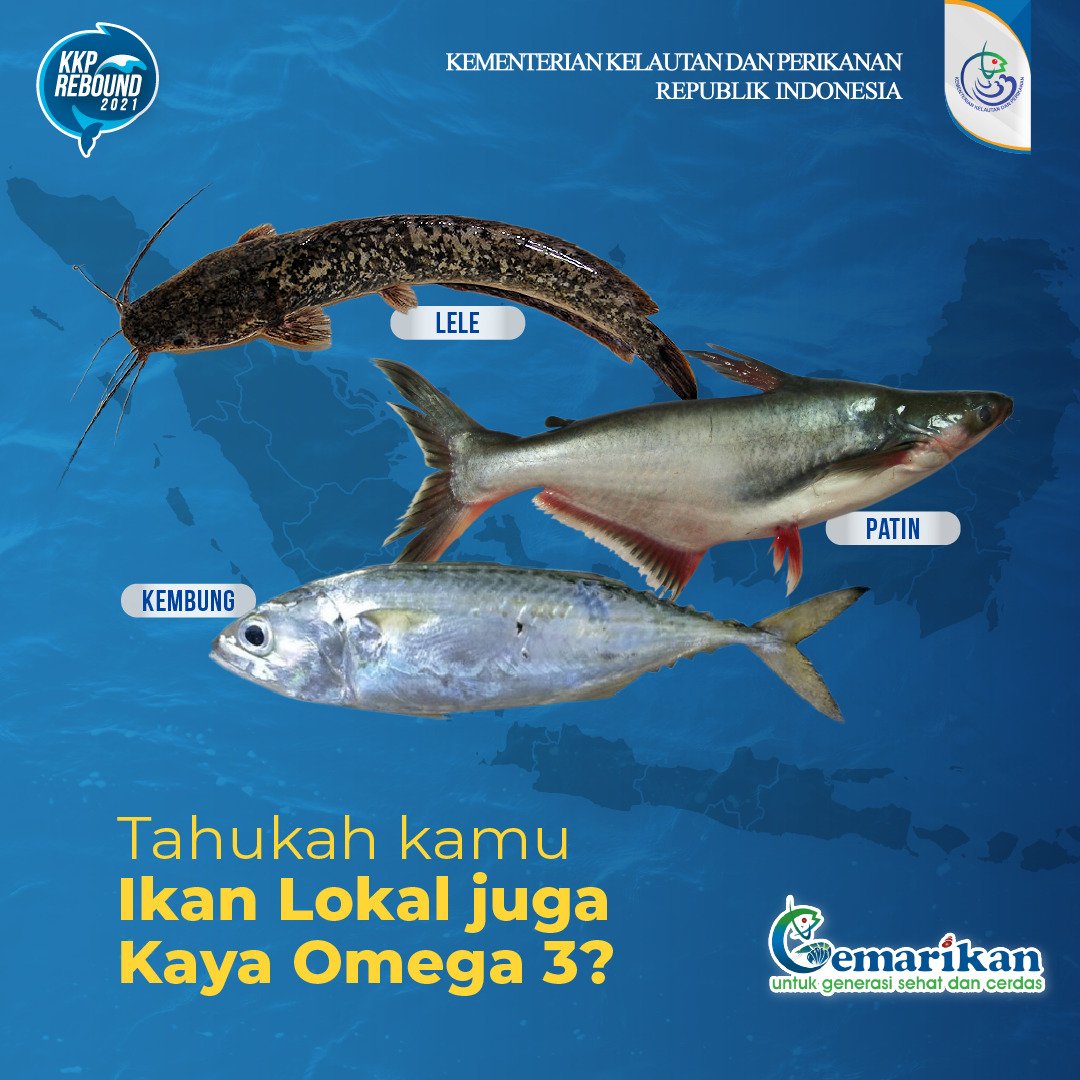 kkpgoid's tweet photo. Tahukah kamu kalau ikan lokal memiliki kandungan gizi yang sangat baik khususnya bagi kebutuhan tubuh kita? Salah satunya ialah omega-3, tepatnya yang terkandung dalam ikan lokal berikut. Ikan lokal apa sih yan menjadi kesukaan #SahabatBahari?
#KKPRBEBOUND #RBKKPHEBAT https://t.co/NCOzJ3BQr0