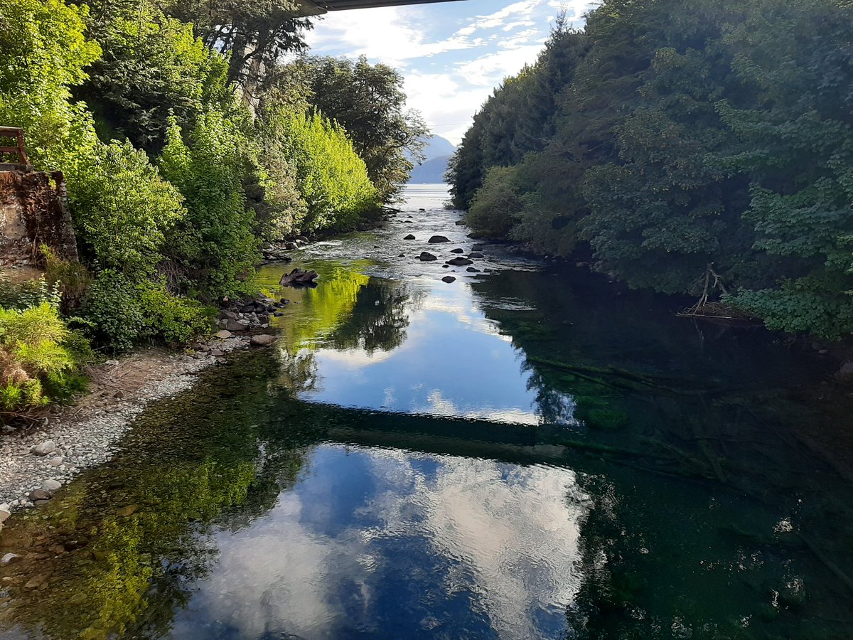 RaspandoelMapa's tweet photo. Ayer un día de playitas. Bahia Manzano por la mañana. Lago Correntoso por la tarde. No tenia tanta expectativa del último. Pero sin viento era un espejo. Espectacular. https://t.co/IkXM1ViJFx