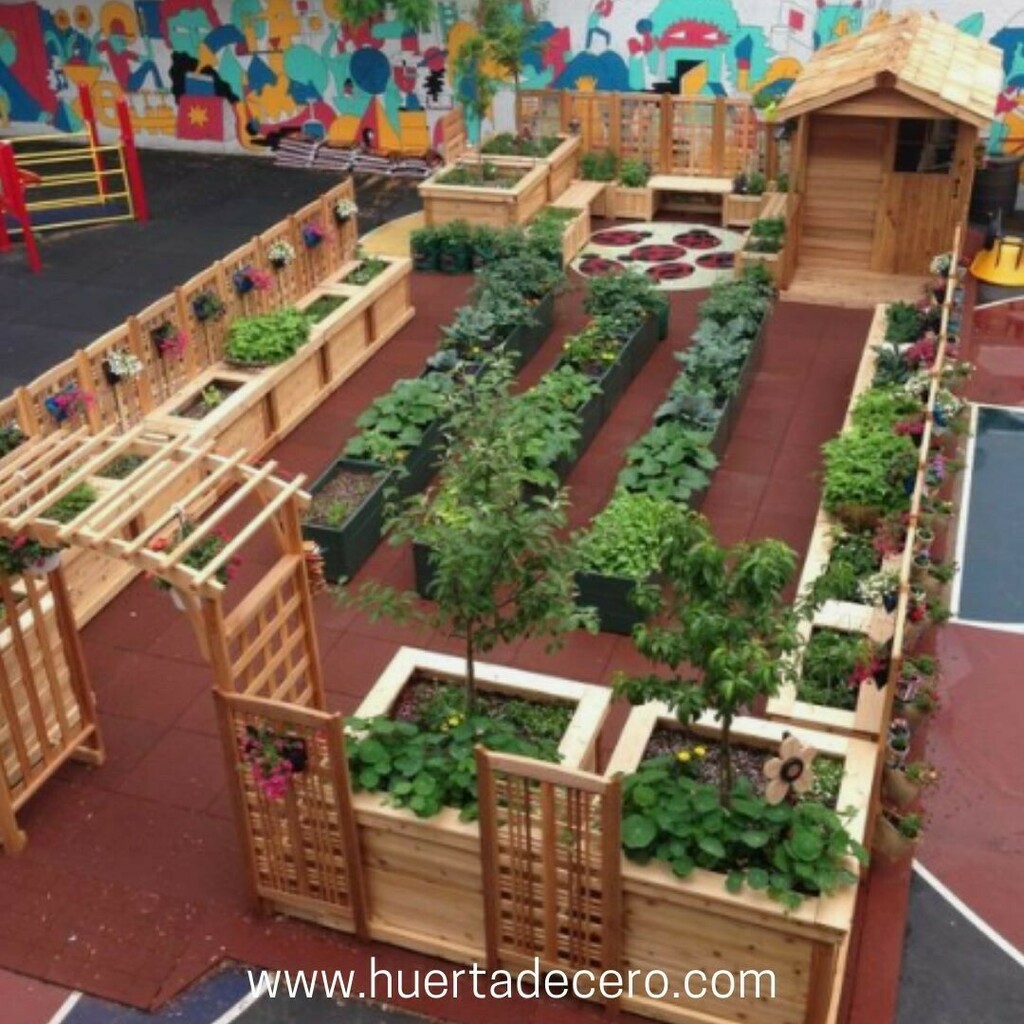 Huertadecero's tweet photo. ¿Quién cree como yo que asi deberían ser todas las escuelas?

👉 COMENTA con un SI si estas de acuerdo 

#huertaorganica #huertaurbana #huertas #huertaencasa #huertaecologica #huertaencasa🌱  #huertavertical #huertacasera  #huertaenmacetas  #huertafami… https://t.co/Vc9YZtCqhB https://t.co/vA6bVzoVAk