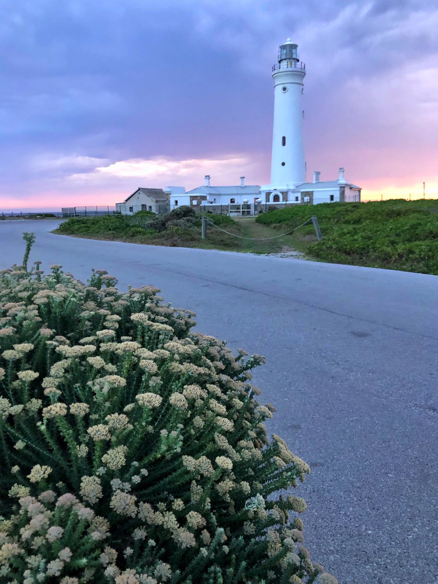 Have you ever visited Sealpoint Lighthouse in Cape St Francis? I couldn’t believe the light behind it last night..... #capestfrancis #exploreeasterncape #southafrica