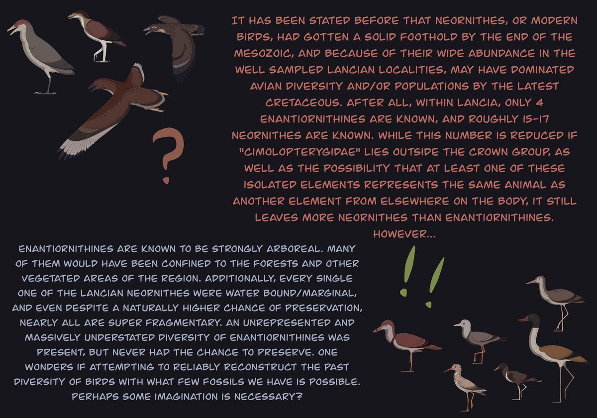 ...we are compelled to cast judgement that Mesozoic modern birds (neornithes) were nearly all water bound. Is this true? Very possibly. But, is it also true we have little information to work with and what we do have may be biased in some way? I think it's also possible.