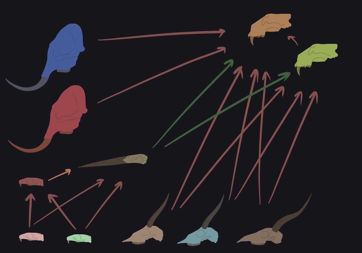 Taking a look at our hypothetical ecosystem again, this is how we may reconstruct these animals interactions:Nothing about this in inheritantly wrong, and given what we have, is a good start for understanding the interactions these animals may have had. However...