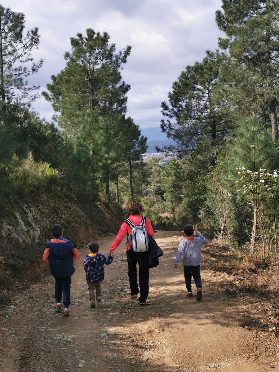 Pere Planellas tweet media