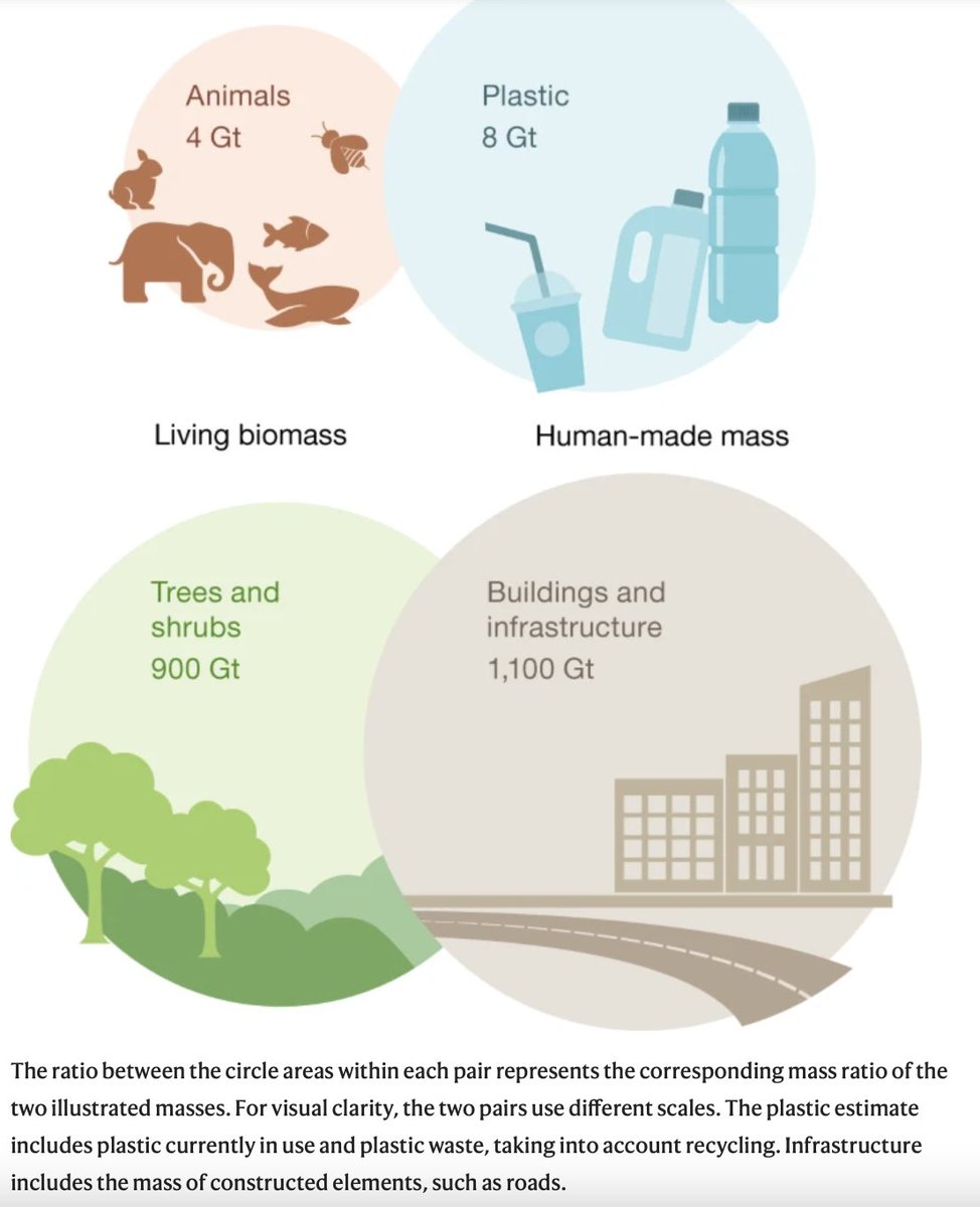 Tweeting this just because it is so mind boggling that human-made mass is outweighing living biomass