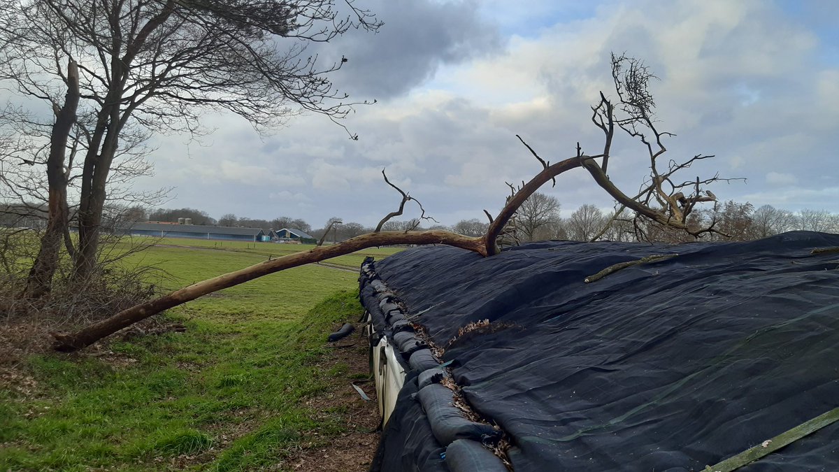 Schade van #StormEvert valt wel mee hier. Dat heb je met evert : blaast hard maar er gebeurt weinig😉