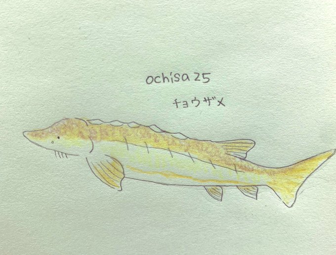 古代魚のTwitterイラスト検索結果(古い順)。