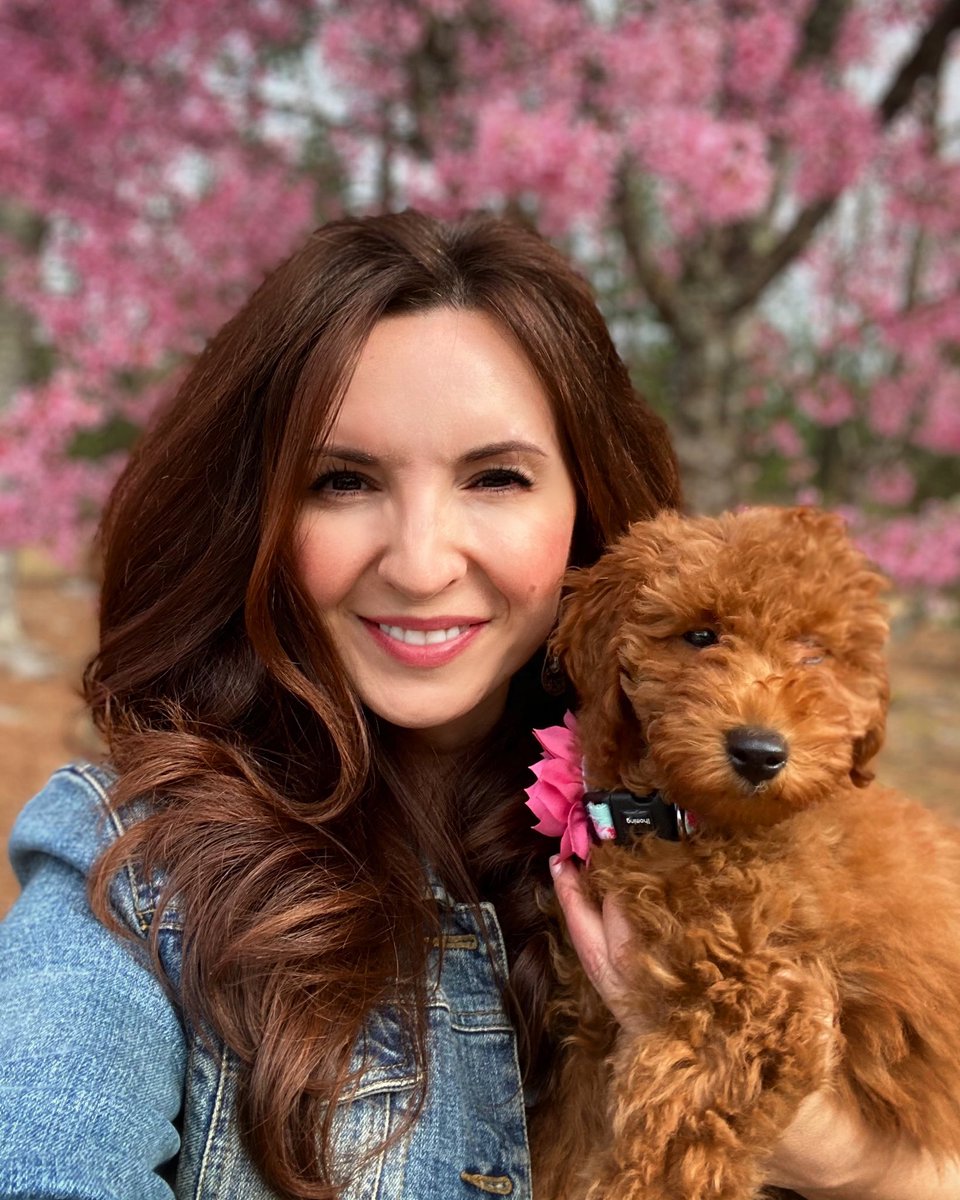 LaurenMachos's tweet photo. I fell in love this week....💕 🐾#irishdoodle ☘️Irish Setter and Poodle #graciebelle #cherrytrees #springdownsouth ....starting new memories 🌸 https://t.co/LL8CwHmtaf