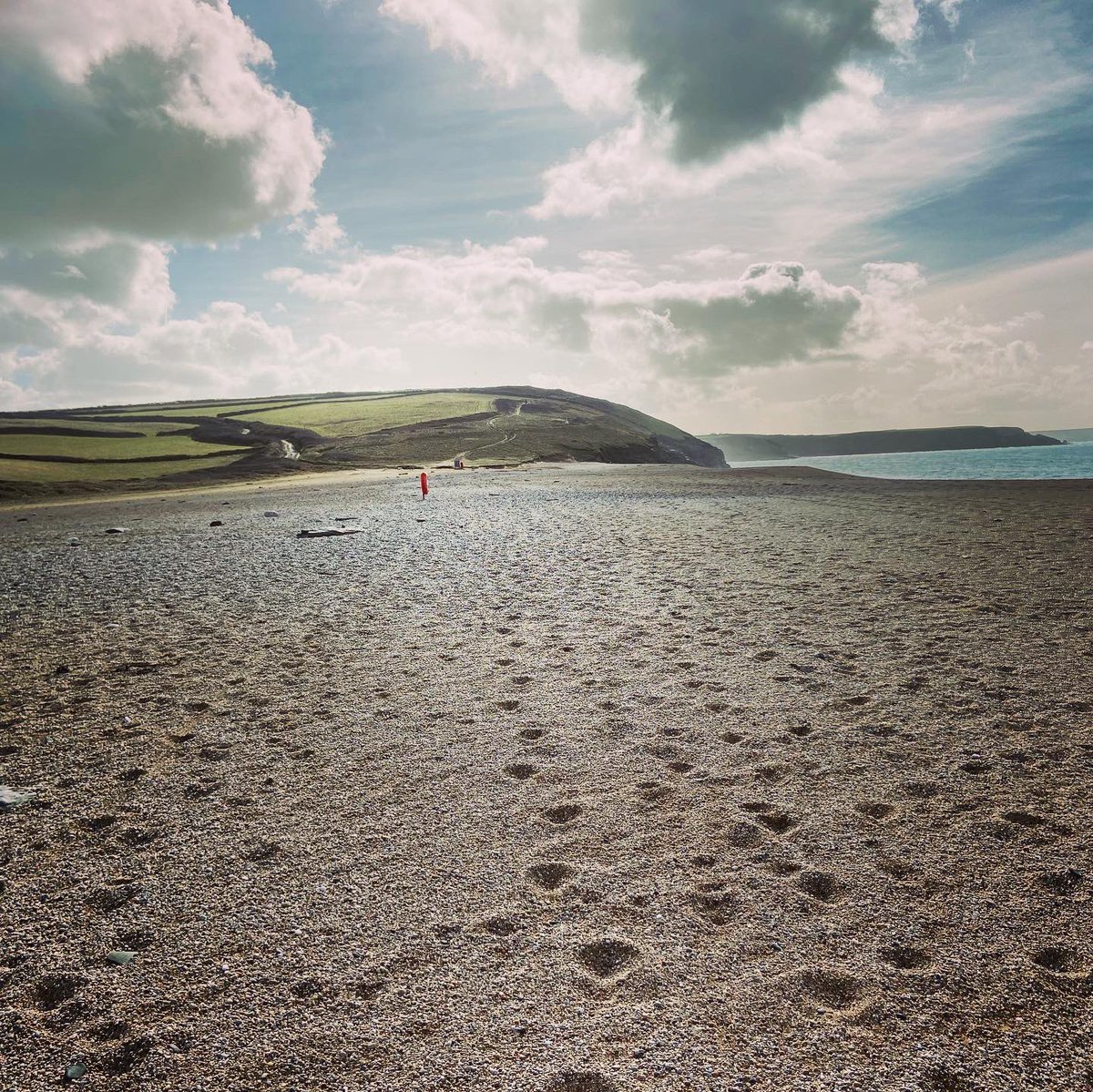 neileddy's tweet image. Sunday funday long runday 
Goldsithney ➡️poldhu 
Love running on the Cornish coastline, even better with the tailwind and a @poldhu hot chocolate to finish 

@orcasportswear @ClifBar @thesweatexperts @XlabUk 

#FeedyourAdventure #Sweatexperts #precisionhydration