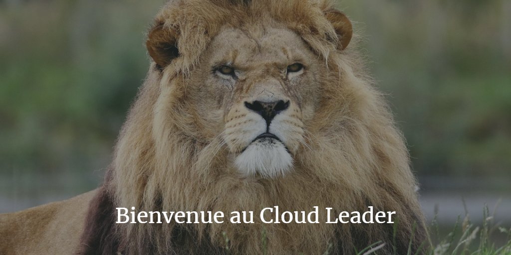 Nuageo_'s tweet photo. Un #CloudLeader aide l’organisation dans laquelle il évolue, instaure des bonnes pratiques et de la gouvernance autour de la consommation des services #Cloud. 

Venez découvrir le profil du  #CloudLeader !

https://t.co/PQF1L9KI1f https://t.co/VzIJS4i8Dp
