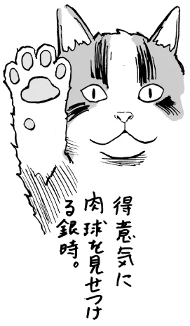 肉球を得意気に見せつける猫を描きました#猫好きさんと繋がりたい #ZEROの猫イラスト#猫漫画 