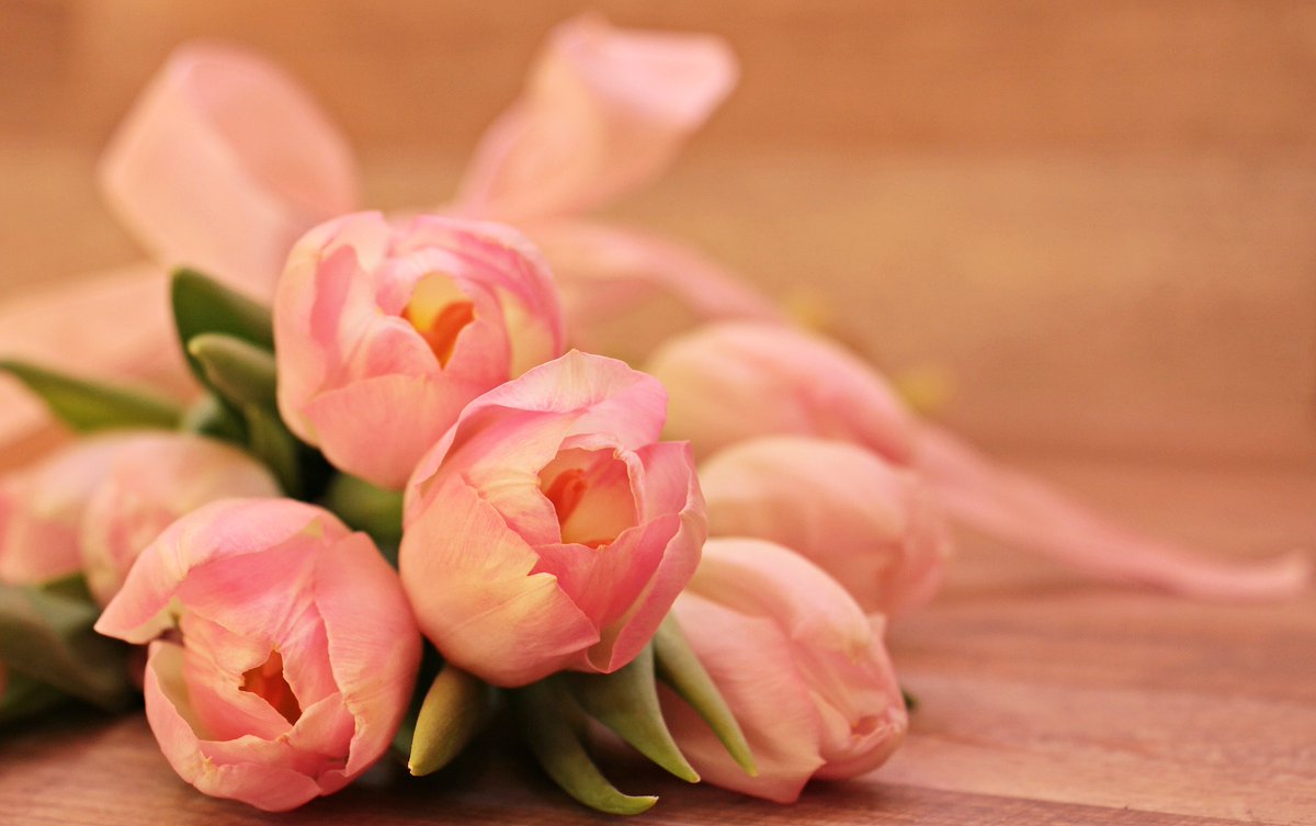 JoyCelebrations's tweet photo. Happy Mother's Day! Have a lovely day 😍🥰😘. Even if you can't be together today, you can send some love however possible. 💐🌸🌼🌹💐🌹🌸🌼

#mothersday https://t.co/RSF7kbji3p