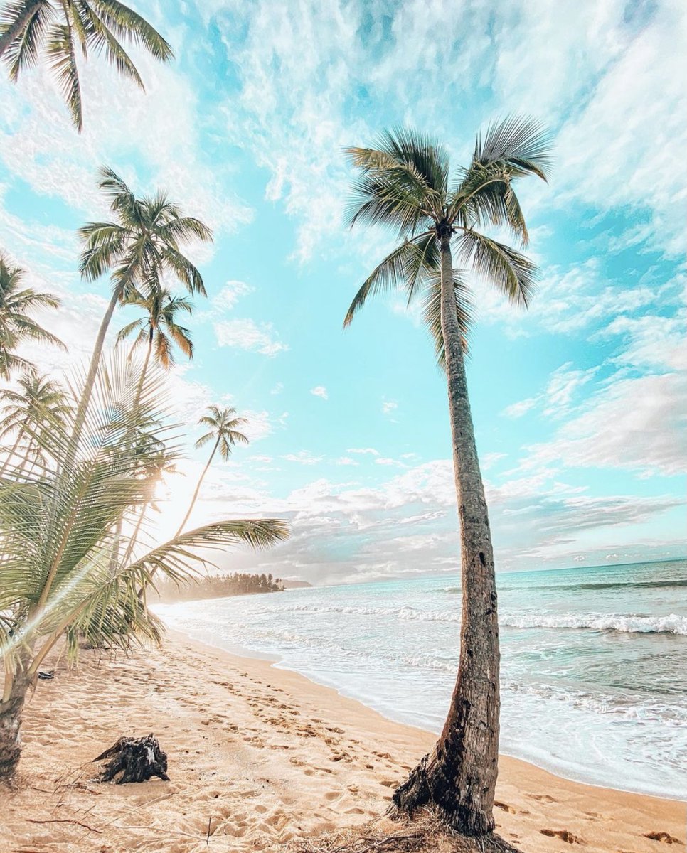Playa Cosón, easily among the top three most stunning beaches in the Samaná Peninsula. Do you have this Dominican gem on your bucket list? 📸: @celia_tichadelle

📍 Playa Cosón, Las Terrenas, Dominican Republic