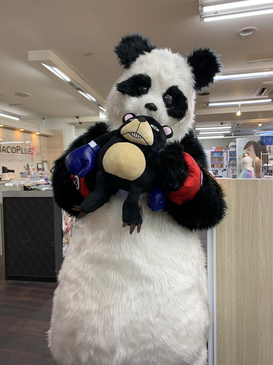 22高い素材 プロレス技をかけるパンダ リアルパンダ先輩 の写真 写真 Alrc Asia 22高い素材 プロレス技をかけるパンダ リアルパンダ先輩 の写真 写真 Alrc Asia
