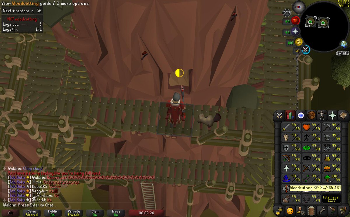 #18 - Beaver (34,964,161xp)