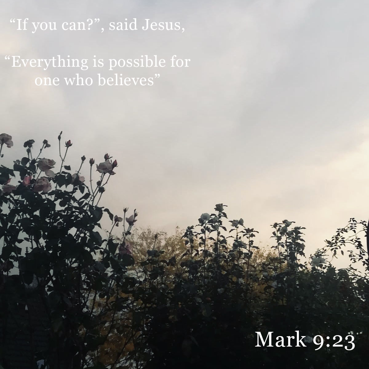 mercyme's tweet photo. “‘If you can?” said Jesus. “Everything is possible for one who believes.”
Mark 9:23 NIV https://t.co/stveYLkfjt