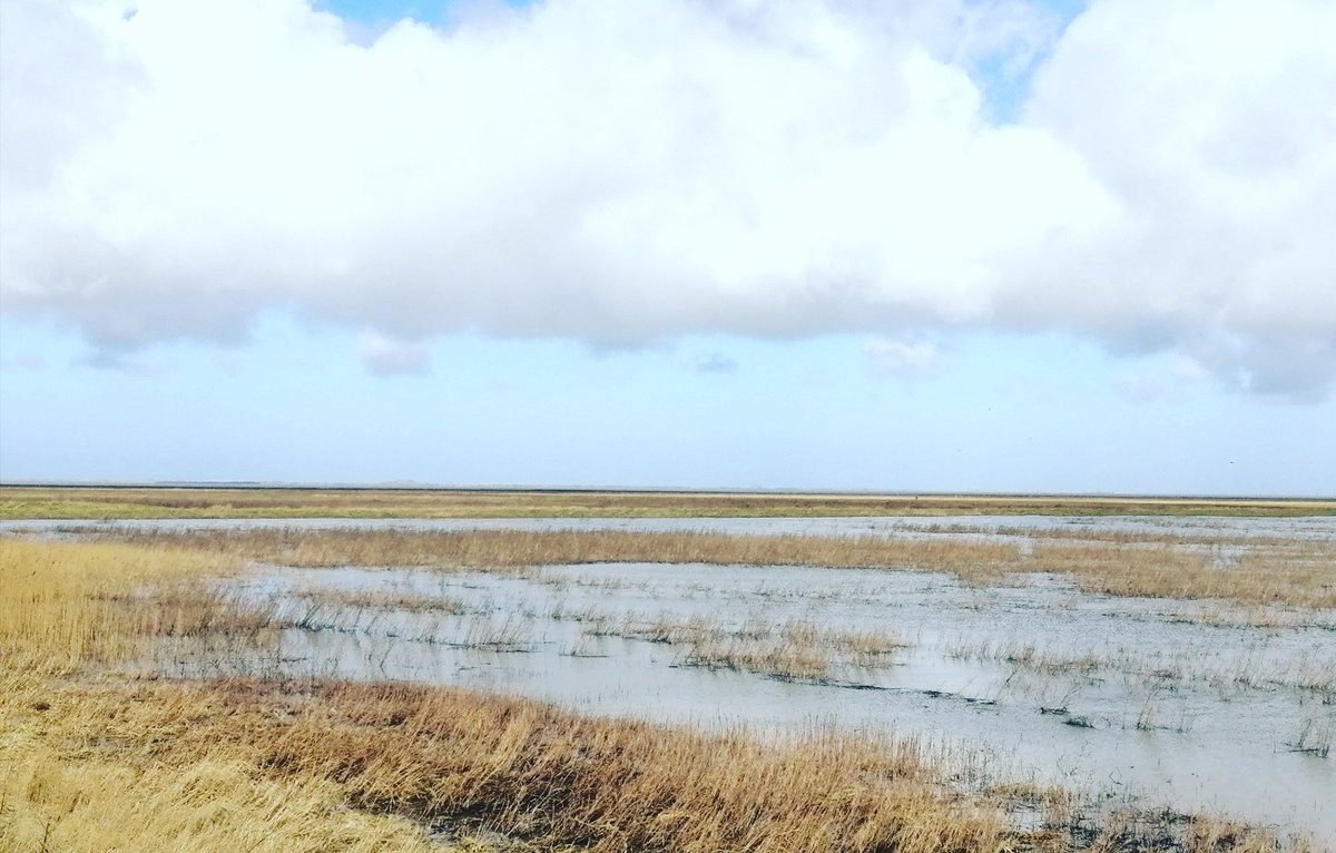 evlieg's tweet photo. #holwerd #wadden #waddenzeedijk #holwerdaanzee https://t.co/zlDCZNdAj8