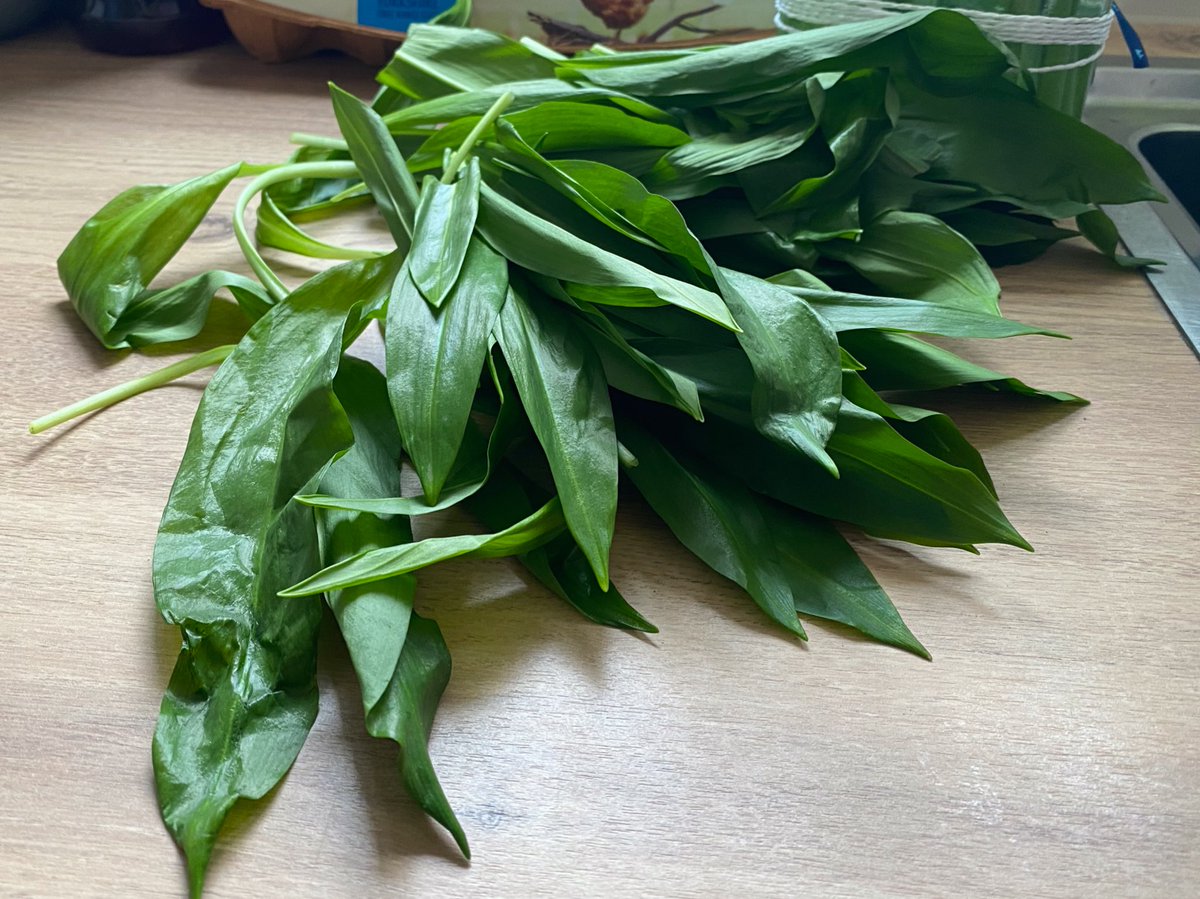 Landed some lovely #wildgarlic today. Fave recipes?!