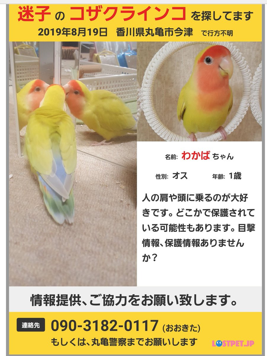 ちゅらちゃん Qtj1bfr5pawxtgp Twitter