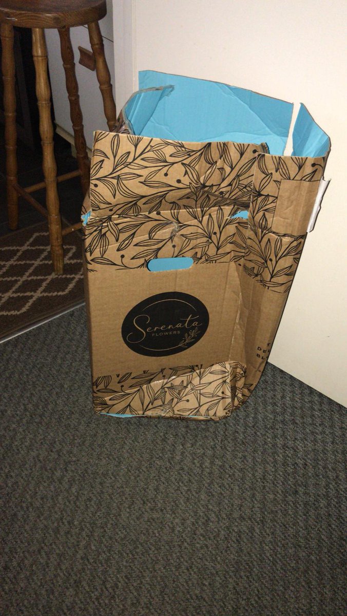 amjelley's tweet photo. @SerenataFlowers Disgusting company that's your standards? https://t.co/vMgb1UNnmu