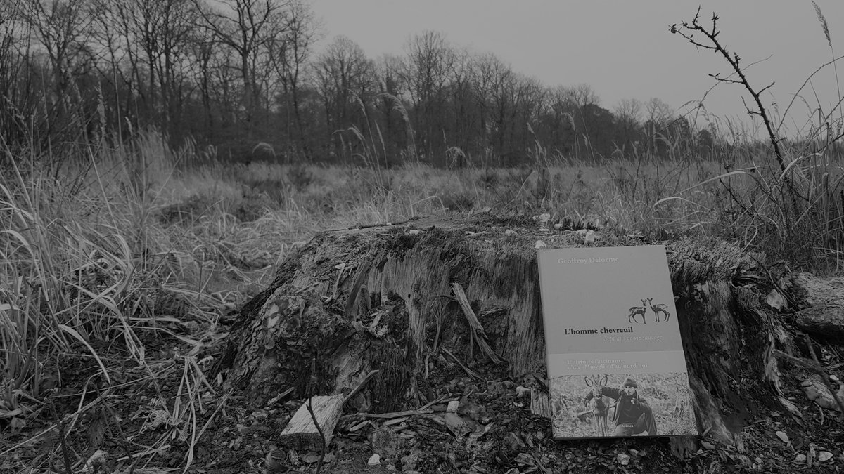 xavier_frere's tweet image. 2010 : l'#hommechevreuil sort du bois
2021 : il sort son livre, squatte médias. Qu'a-t-il vraiment vécu avec les cervidés ? Peu de preuves formelles. Scientif @INRAE_France, photographes animaliers, chasseurs doutent. 
▶️Mon enquête #longformat @EBRApresse c.leprogres.fr/insolite/2021/…