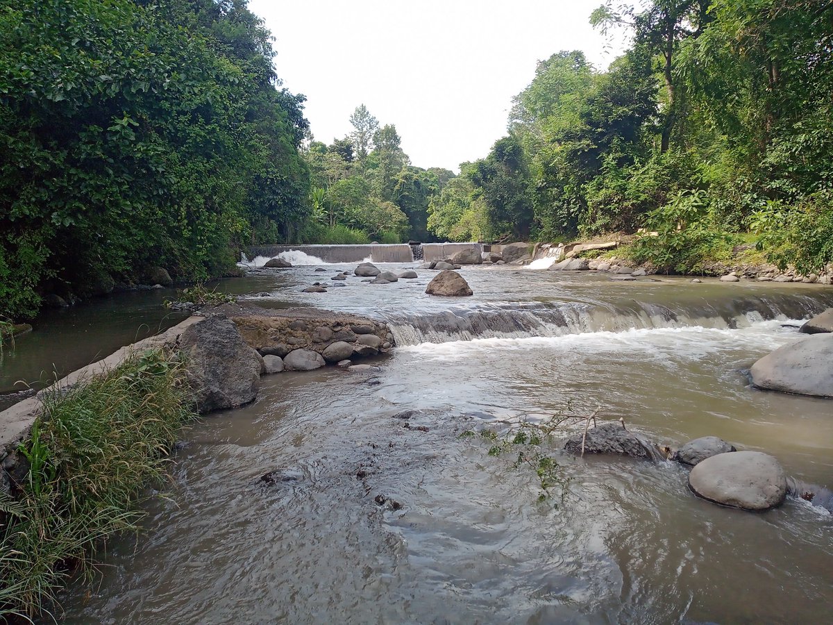 14th March is the International Day of Action for Rivers which are essential  for both humans and ecosystems. So thought of taking part in this #DayofAction2021 by sharing some shots of #Tanzania🇹🇿 #Rivers  #UsaRiver #Riversforeconomicdevelopment #Rivertourism #Wateresources