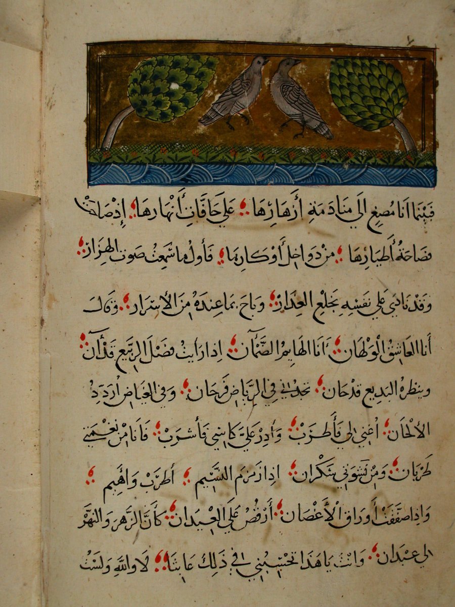 GokselBaykan's tweet photo. İslam bilim tarihinde kuşlarla ilgili  en nadide eser Keşfü'l Esrâr an Hükmi't-Tuyûr ve'l Ezhâr/ (İzzeddin b. Abdüsselam el- Makdisi) 'dır. Eserde kuşlar hakkında çok önemli bilgiler verilmektedir. Muhteşem kuş  tasvirleri mevcuttur. @tasvirsanatlari @pelitcikli https://t.co/2bjIDYFYL0