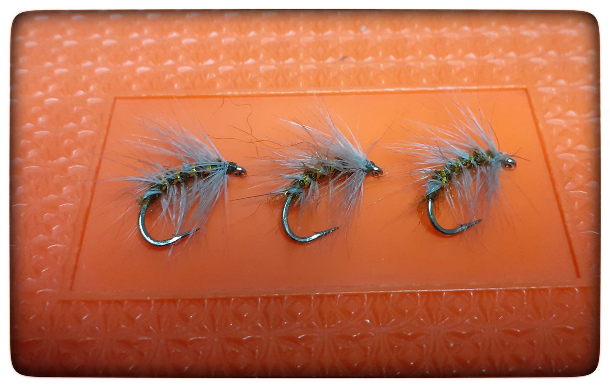 HillendDabbler's tweet photo. Three wee nondescripts that maybe useful! π§΅ #Lockdownflytying https://t.co/9kIZBZPbKp