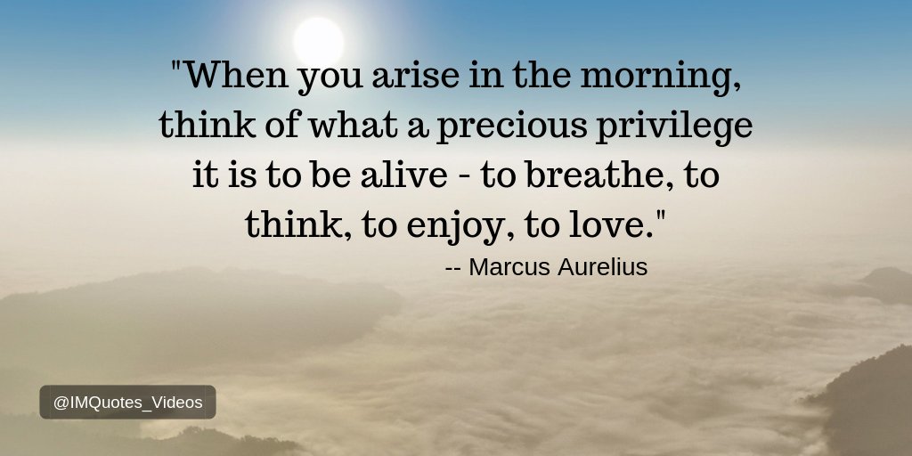 MHCenterKids's tweet photo. Take a deep breath, and be grateful for all the wonderful opportunities that life gives you.

#Motivation https://t.co/qeRdMPRZkb