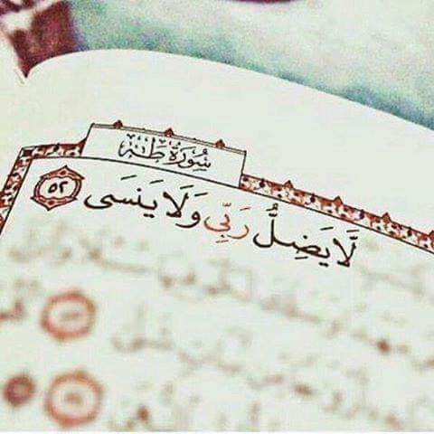 MuslimPs's tweet image. الا بذكر الله تطمئن القلوب ❤️