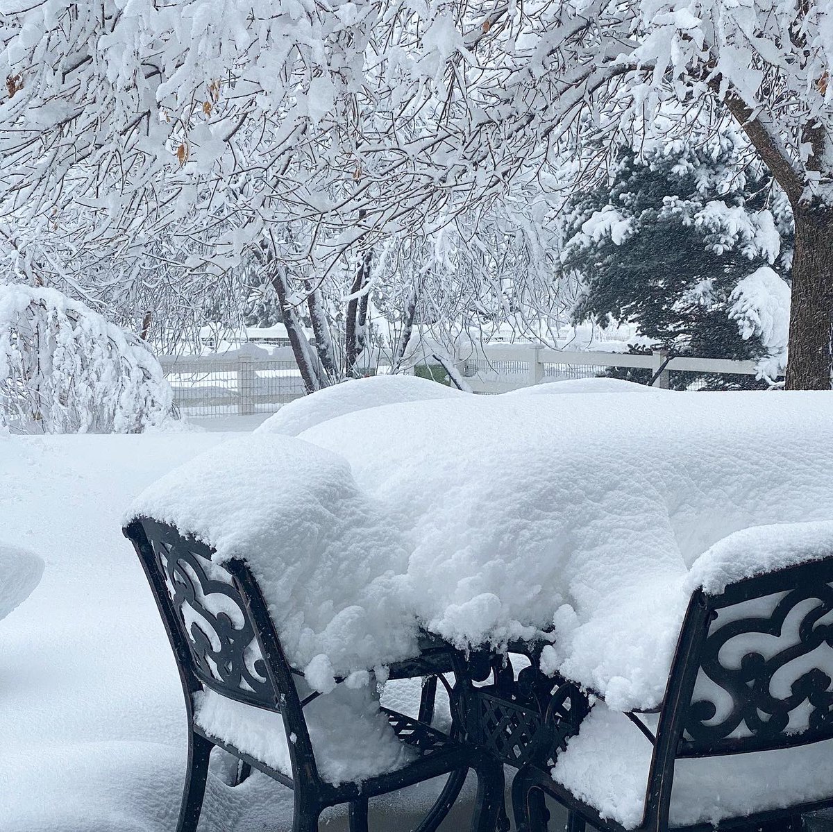 SummitLegacy's tweet photo. Colorado ❄️❄️ #Snowmageddon2021 #Colorado https://t.co/nUB7gy8FOi