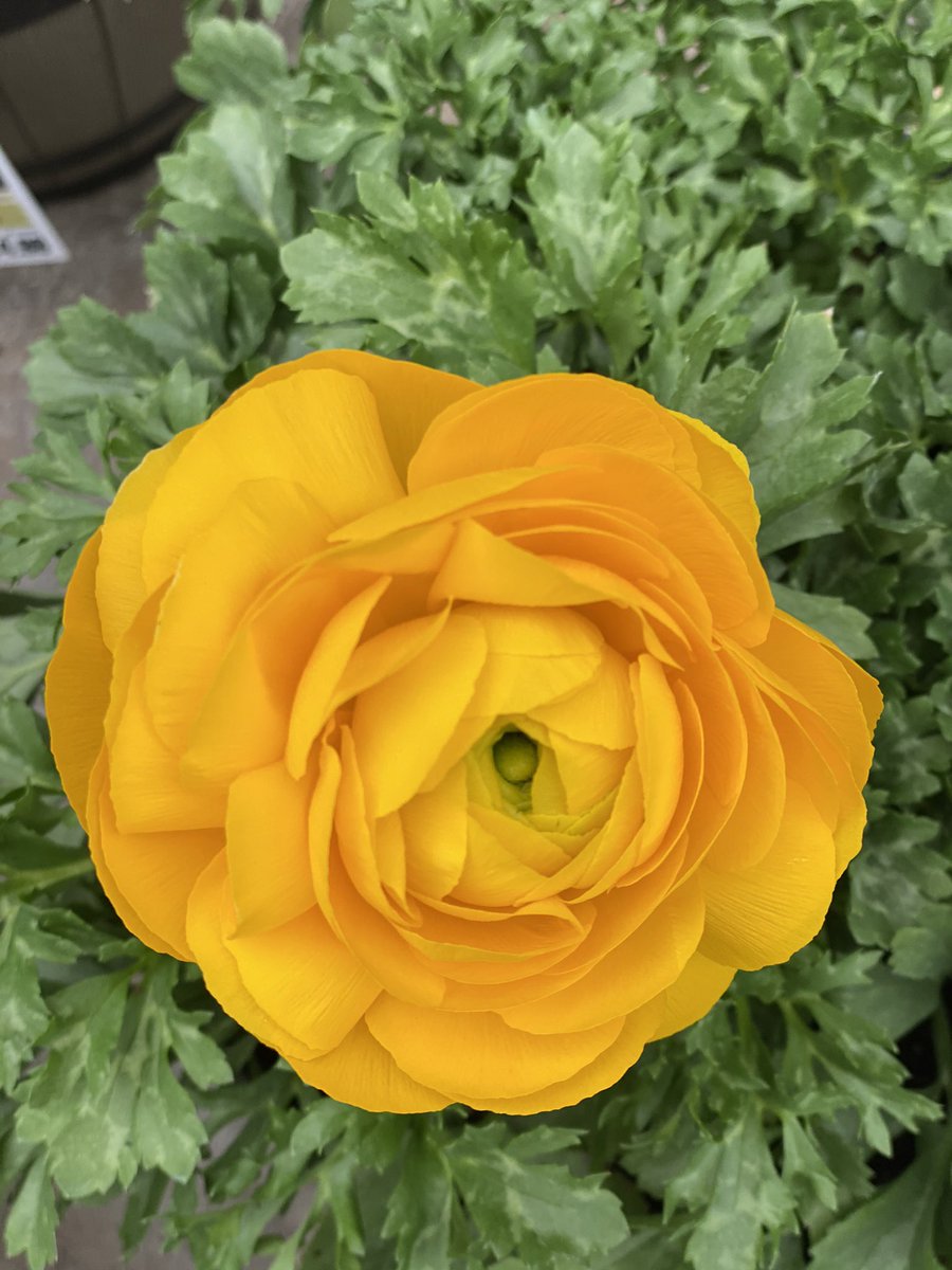 Did you remember to spring forward and reset your clocks?