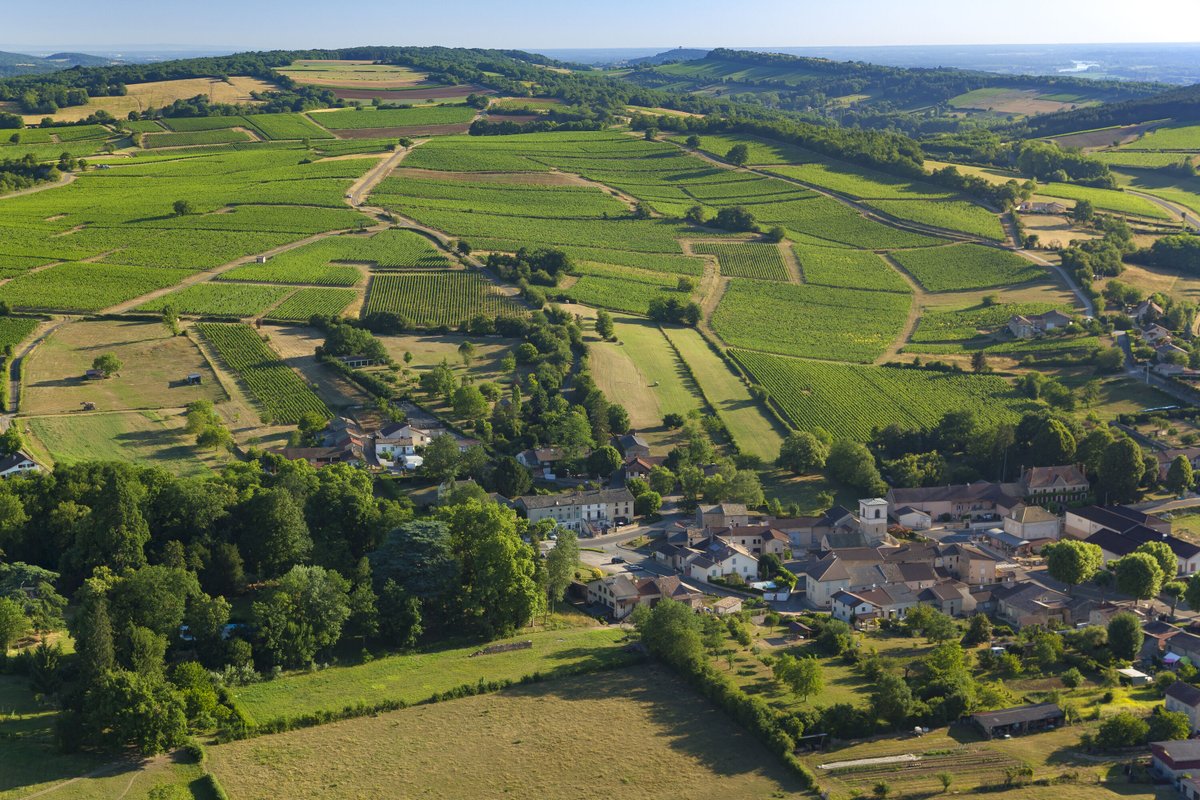 Bourgogne Wines (@bourgognewines) on Twitter photo Have you ever heard about the #Bourgogne and #Mâcon plus a geographical denomination appellations? They offer great quality wines, for a really affordable price. A real asset! Good news, <a href="/johnszabo/">John Szabo</a> and Sara d’Amato tell you everything (or almost) about it: bit.ly/JohnSzBourg Have you ever heard about the #Bourgogne and #Mâcon plus a geographical denomination appellations? They offer great quality wines, for a really affordable price. A real asset! Good news, <a href="/johnszabo/">John Szabo</a> and Sara d’Amato tell you everything (or almost) about it: bit.ly/JohnSzBourg