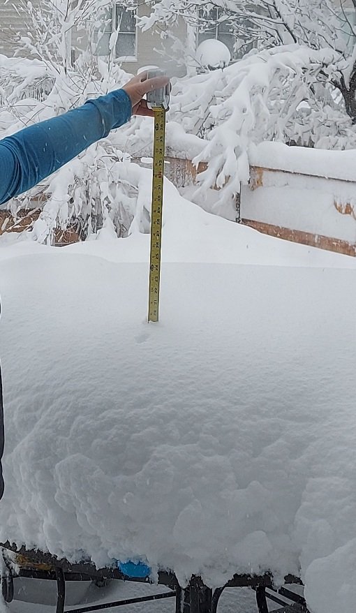 That's 19" in west #FortCollins... sure, some of it is windblown, but not so much near the house. It's very windy, but unfortunately the snow is so wet, it's still sticking to trees. #cowx
