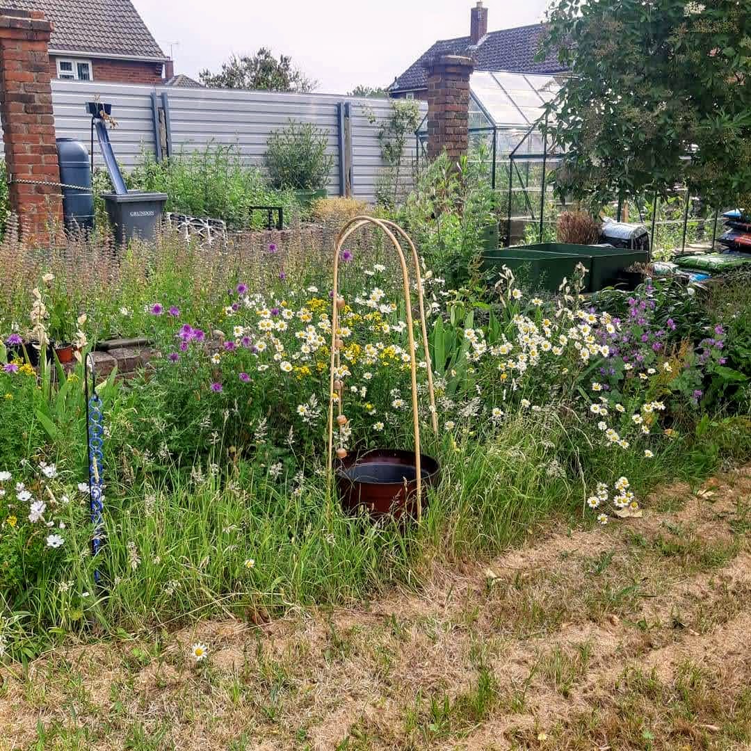 Alison, Friends of Elmfield tweet media