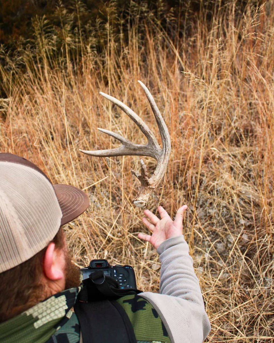 WhitetailPropTV's tweet photo. #repost @released_outdoors
・・・
Break it down, toss it up, RACK it up.
#shedrally @JohnDeere @Mathews_Archery @SitkaGear @lacrosse1897 @HUNTERRAmaps @YETICoolers @RyanKirbyArt #rackhub https://t.co/mqXoFfpQAQ