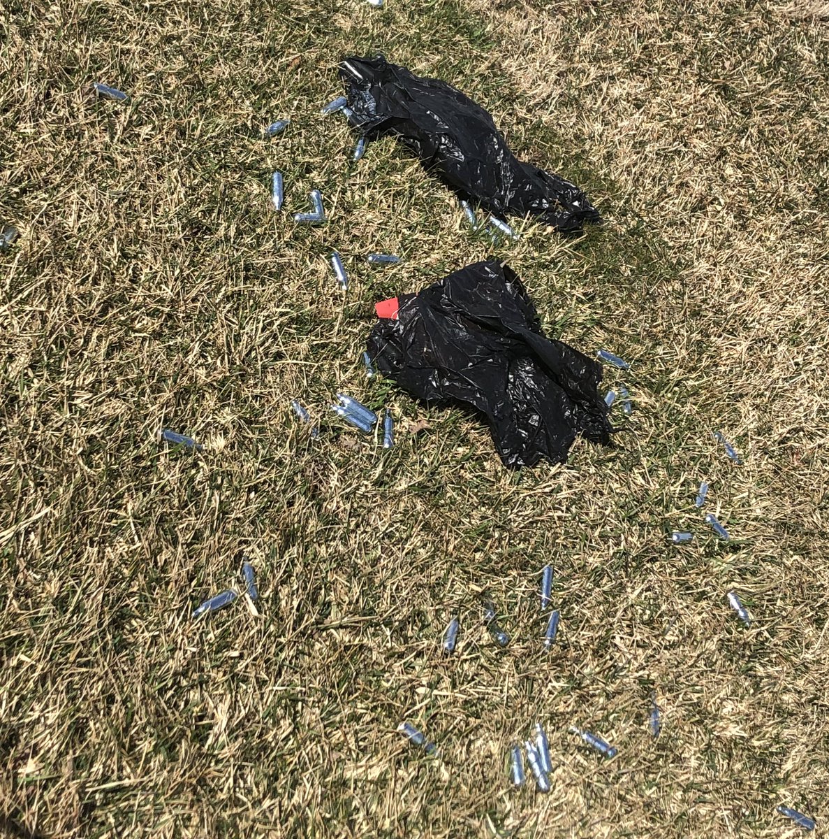 The Ghost of Aunt Gertie tweet media